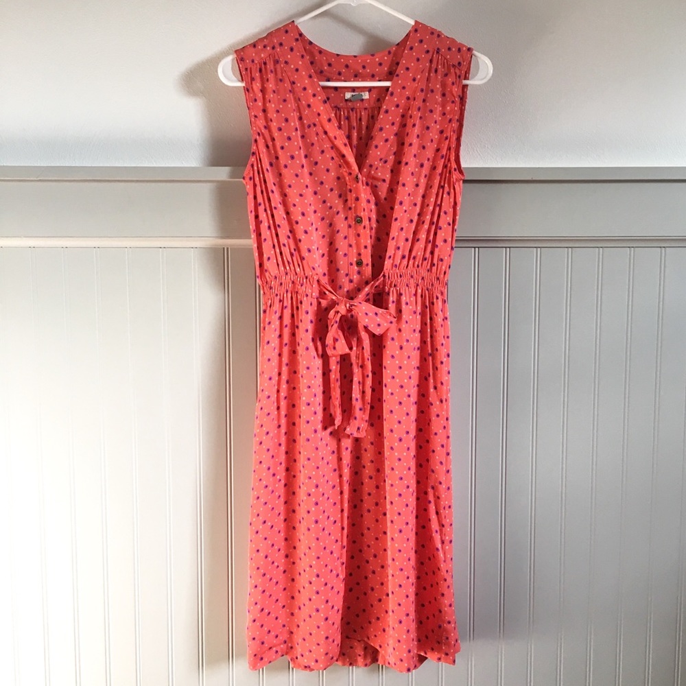 Fossil Dress